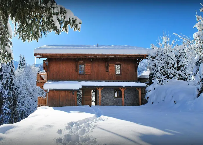 Les Pellys - Ovo Network Samoens