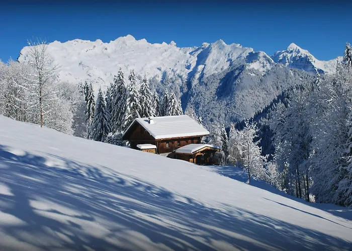Les Pellys - Ovo Network Chalet