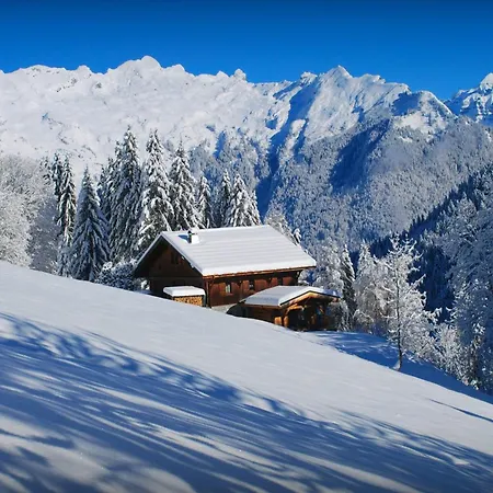 Chalet Les Pellys - Ovo Network *